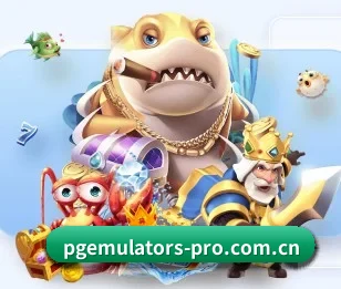 关于我们 - 体育资讯内容服务(PG emulator)